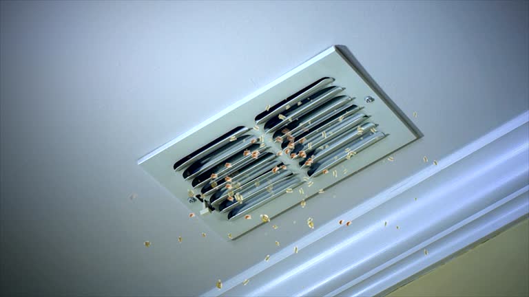Best Professional Duct Cleaning Services  in Lindsay, TX