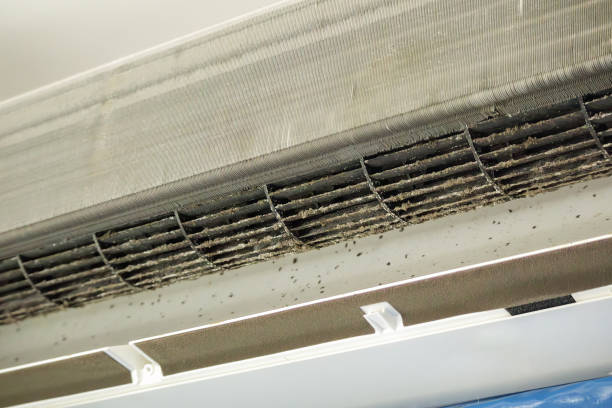 Best Commercial HVAC Duct Cleaning  in Lindsay, TX