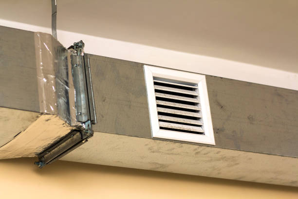 Best Affordable HVAC Duct Cleaning  in Lindsay, TX